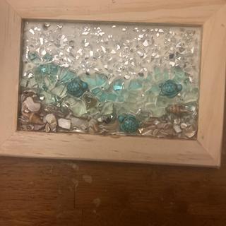 Sea turtles