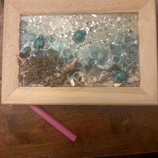Sea turtles