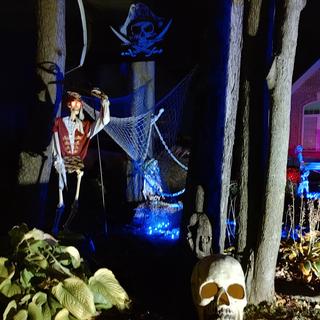 Skull and life size 5' skeleton