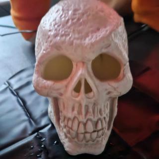 Skull