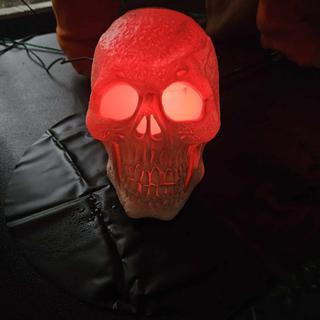 Skull on