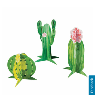 Cacti. Each piece is big. Will use as centerpieces.