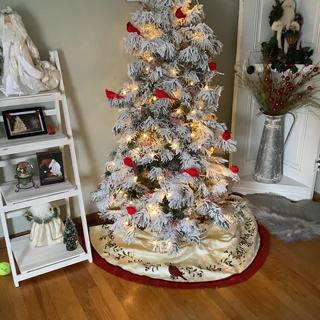 My new tree