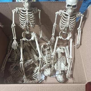 Skeletons