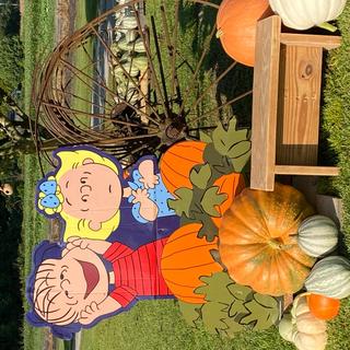 Pumpkins are magical🎃🎃