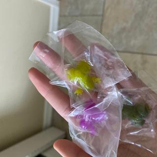 frog