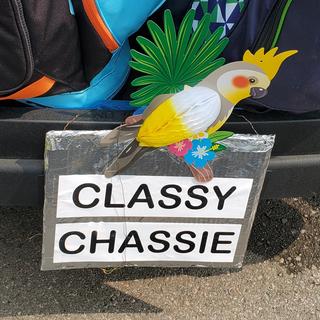Golf cart license plate with parrot