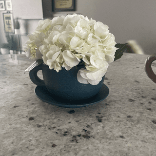 Cup/saucer vase