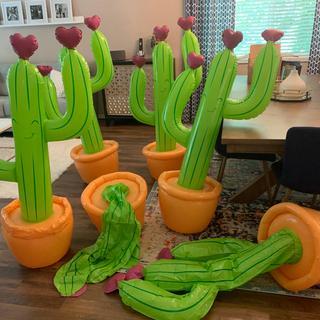 Deflated cactus