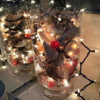 Seashell “Lamp”
