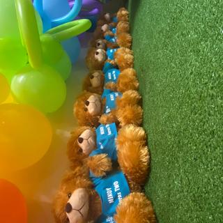 They are good size and huggable for kids