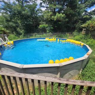 Swim