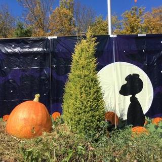 It's the Great Pumpkin, Charlie Brown