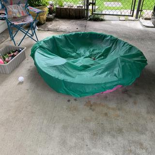Protecting sand pool from cats and bugs