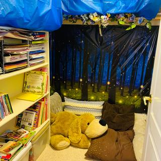 Book nook with night forest background