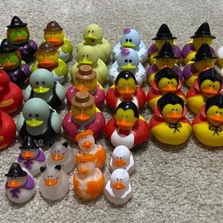 Ducks