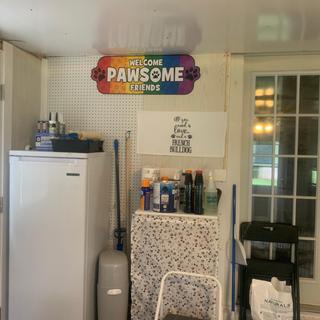 Paw print room.