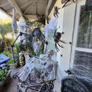 my porch over- runneth with spiders