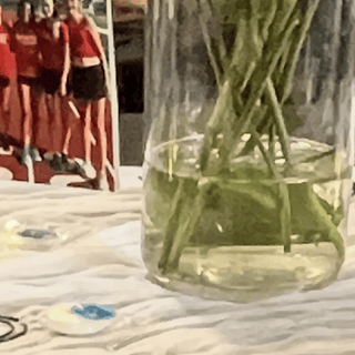Table decor