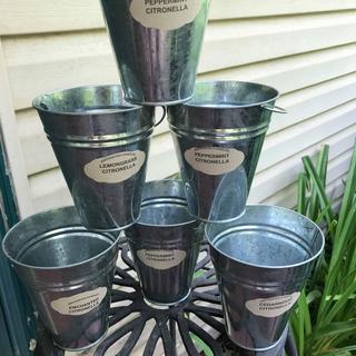 Citronella Candles