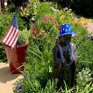 Patriotic man