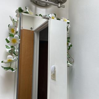 Lei over mirror