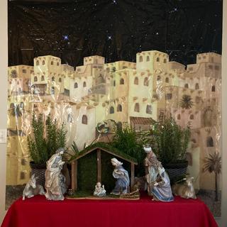 Bethlehem backdrop