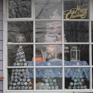Perfect for my window winter trees