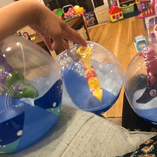 Fish will not inflate