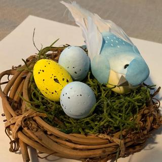 made bird nests with the speckled eggs.