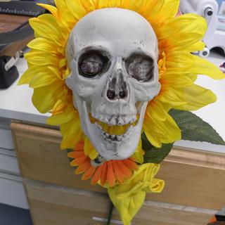 Sunflower with Skull