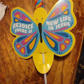 Butterfly