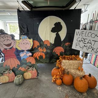 Snoopy backdrop