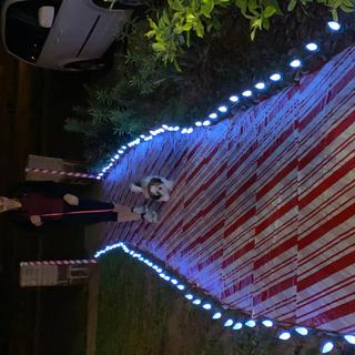 Candy cane lane