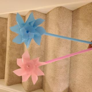 Perfect for our outdoor gender reveal