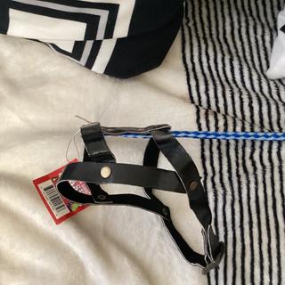 Harness itself is cheaply made and difficult to shape into correct shape.