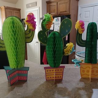 Cacti