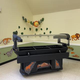 Great addition to our jungle decor