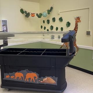 These added a lot of color to our jungle theme