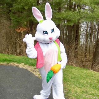Easter Bunny