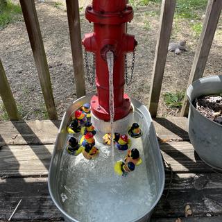 Water fountain duckies