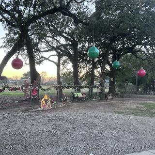 Front yard