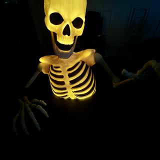 Breaking out skeleton