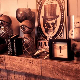 Haunted Vintage Museum Vibes