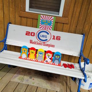 Cat Bean Bag Toss