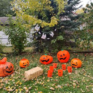 COVID family only Pumpkin patch