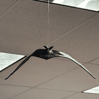 Flying Bats