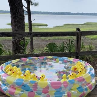 Duck pond