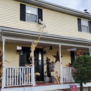 Life-size Skeletons