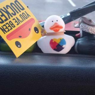 "DUCKED"